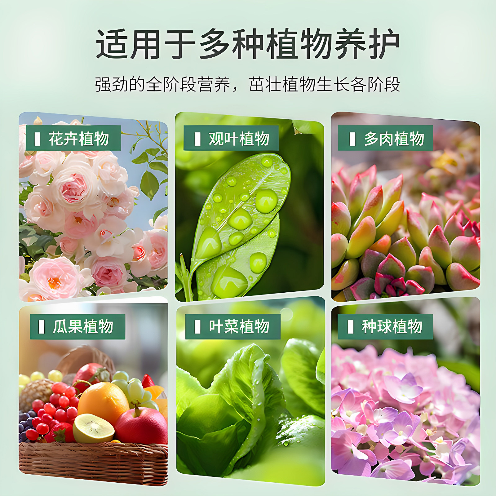 水培植物营养液绿植花卉盆栽碗莲铜钱草绿萝发财树通用养花用肥料,淘宝优惠券,粉丝福利购,淘宝优惠卷