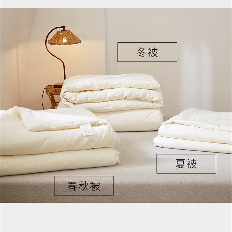 不染原棉A类大豆纤维春秋被子学生纯棉冬被全棉双人四季空调被芯,淘宝优惠券,粉丝福利购,淘宝优惠卷