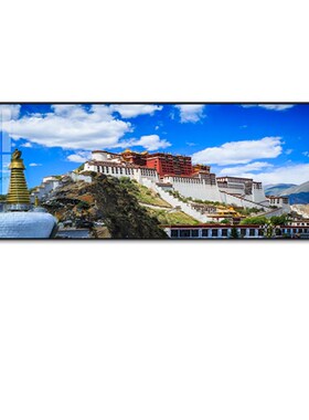 布达拉宫沙发背景墙装饰画横版一整幅客厅挂画大气U简约办公室墙