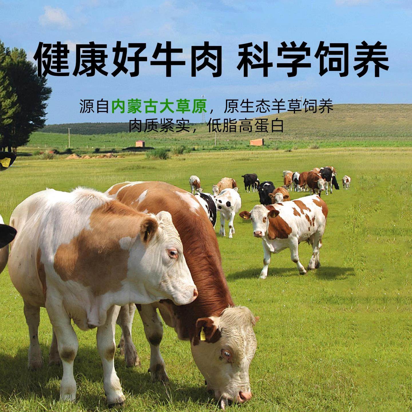 胖东来官方旗舰店牛肉干内蒙古风干手撕即食代购许昌超市正品零食,淘宝优惠券,粉丝福利购,淘宝优惠卷