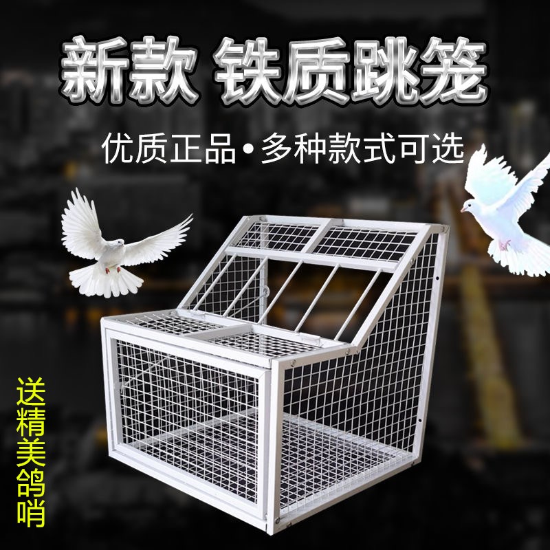 鸽子跳笼不锈钢信鸽跳笼鸽子进出口新款跳门鸽舍鸽棚赛鸽放飞门口 - 图0