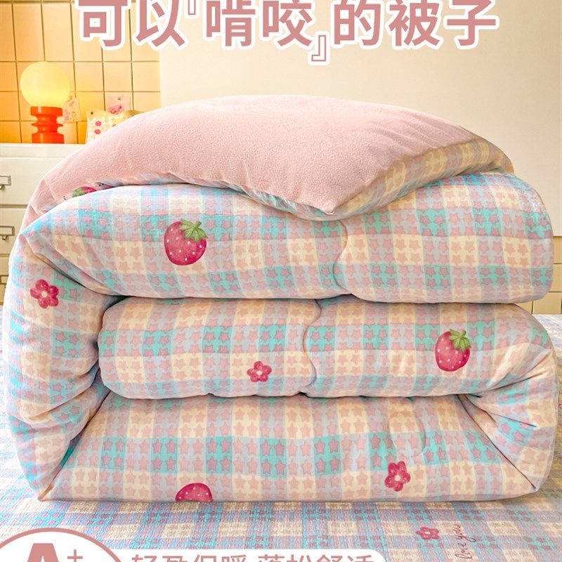 秋冬季双层纱宝宝绒被子冬被加厚加绒保暖被芯春秋被单人床盖套件,淘宝优惠券,粉丝福利购,淘宝优惠卷