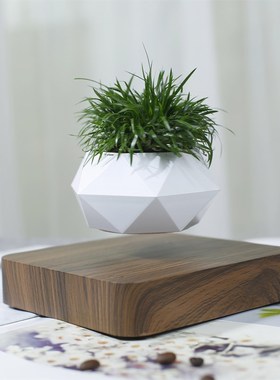 磁悬浮盆栽植物盆景客厅家居摆件网红创意工艺品乔迁新居礼物