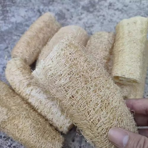 丝瓜络洗碗神器天然丝瓜瓤洗碗布厨房抹布专用洗碗刷百洁布锅刷 - 图2