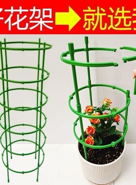 2024新款蟹爪兰支架多层双层园艺花架兰花护叶支撑架植物爬藤架子
