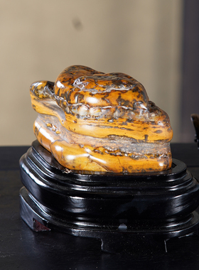 顶爷奇石原石靠山收藏大化石摆件