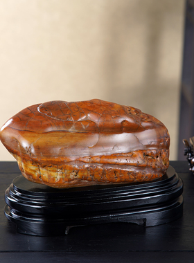 顶爷奇石原石靠山收藏大化石摆件