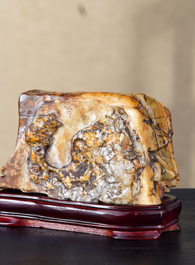 顶爷奇石原石靠山收藏大化石摆件