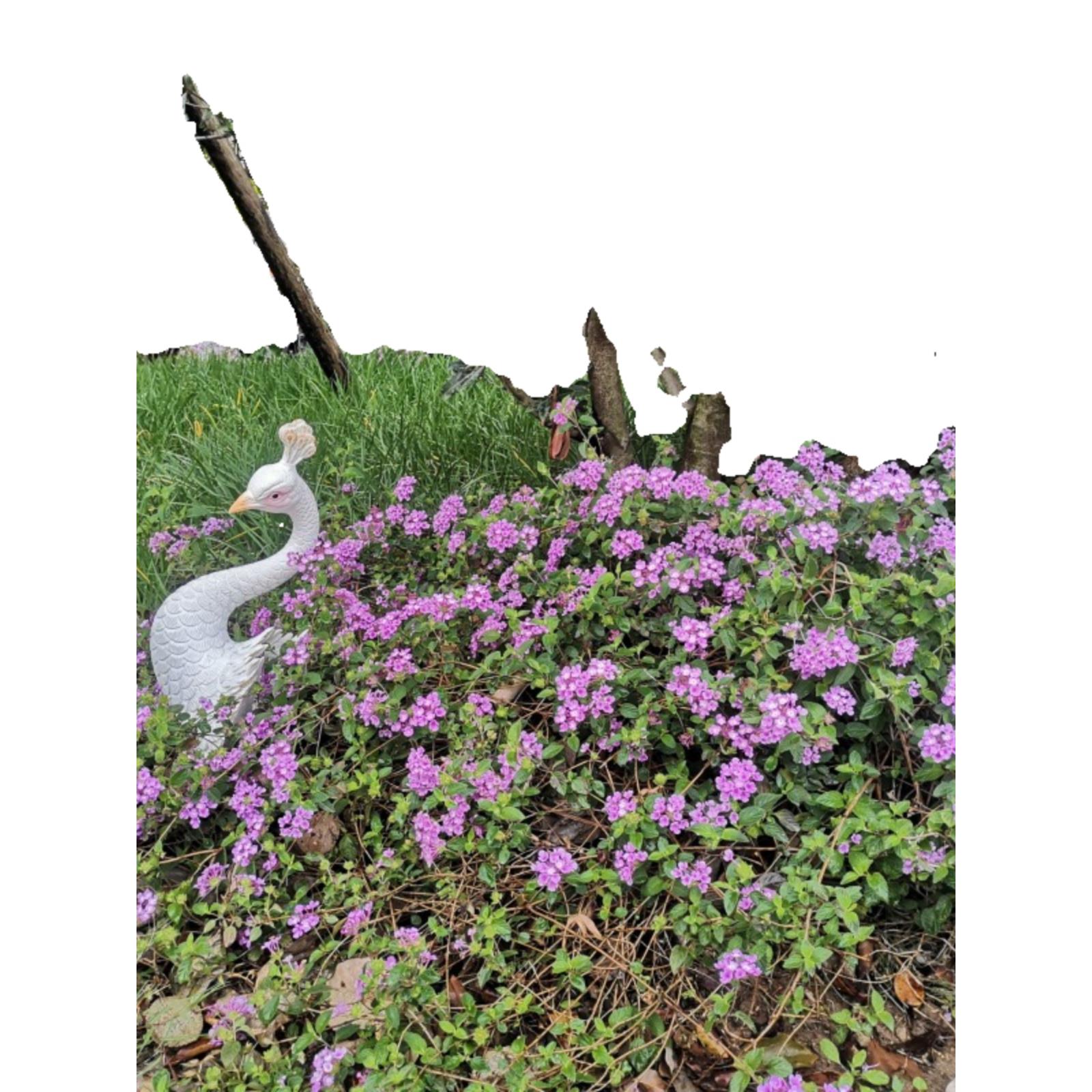 户外庭院花园景观风格创意孔雀插花盆插装饰盆栽植物装饰阳台花园 - 图3