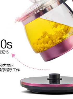 高硼硅玻璃养g生壶 全自动加厚玻璃炖汤壶 防糊防干烧设计