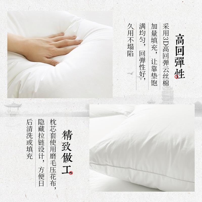 沙发抱枕靠垫靠枕枕芯枕头心455060正方形家用腰枕长方形靠背内芯 - 图1