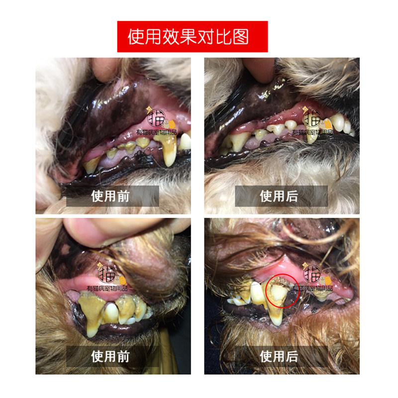 宠物狗狗去牙结石除牙垢工具泰迪洁牙神器口腔清洁洁齿牙石去除器,淘宝优惠券,粉丝福利购,淘宝优惠卷