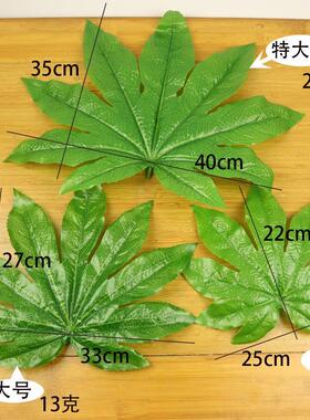 仿真荷叶摆盘餐厅菜肴装饰摆盘绿色叶子塑料芭蕉叶水果树叶垫道具