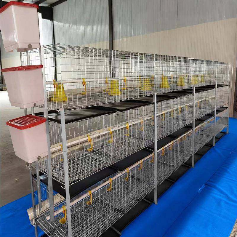 养鸡场镀锌立式肉鸡笼厂家供应三层鸡笼层叠式含托粪盘塑料网水箱,淘宝优惠券,粉丝福利购,淘宝优惠卷