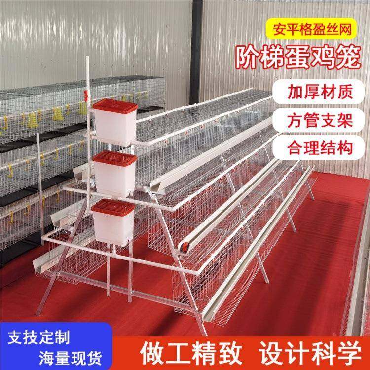 三层四层蛋鸡笼镀锌鸡笼全自动鸡笼生产厂家,淘宝优惠券,粉丝福利购,淘宝优惠卷