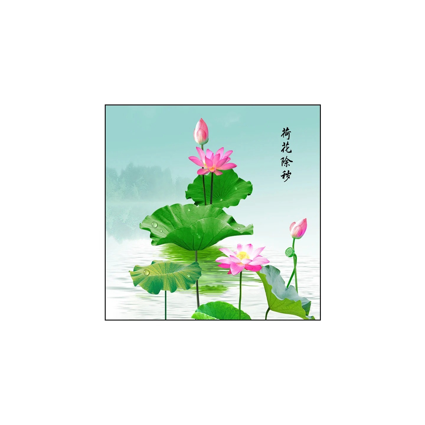 厕所厨房荷花净秽图九鱼荷花图卫生间高档装饰贴画自粘防水瓷砖贴,淘宝优惠券,粉丝福利购,淘宝优惠卷