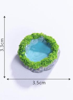 微景观生态瓶水池设计小摆件苔藓青苔摆件湖泊造景模型生活配件
