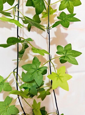 彷真绿色植物物藤条塑料
