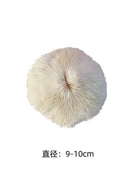 现代轻奢样板间衣帽间女士化妆台摆件样品屋展示中心软装饰品组合