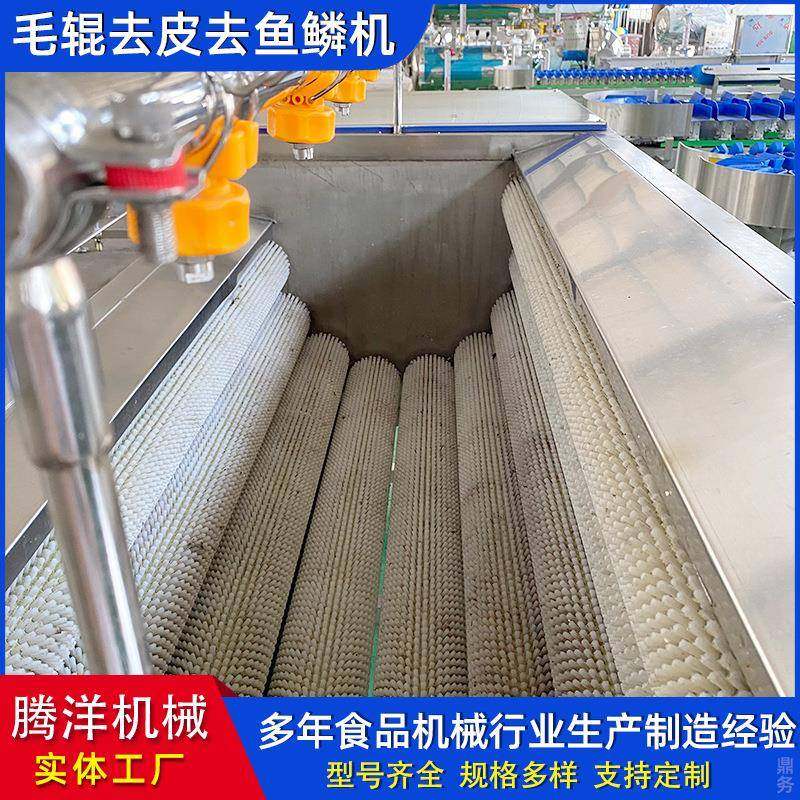 果蔬清洗去皮机胡萝卜毛辊清洗机马铃薯清洗设备,淘宝优惠券,粉丝福利购,淘宝优惠卷