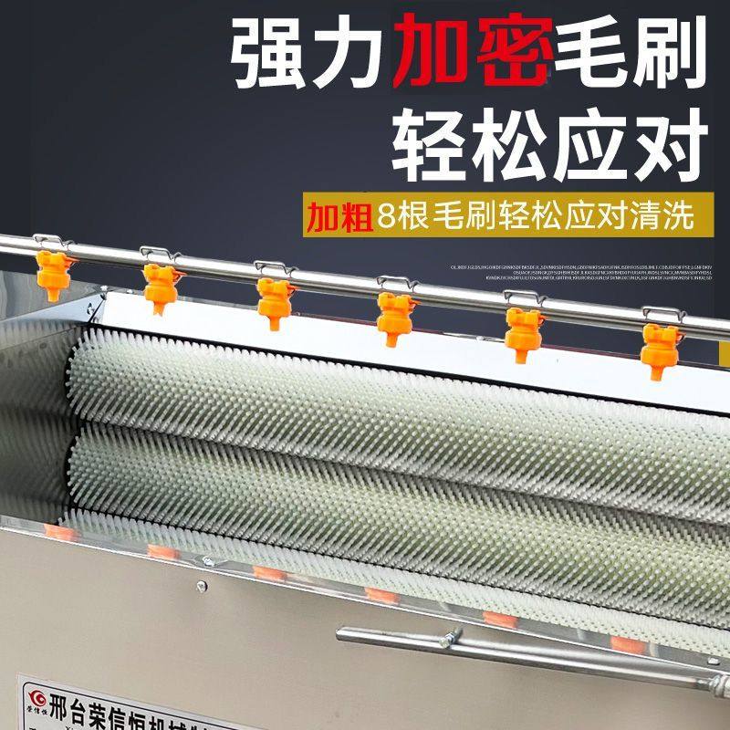 猪头羊头羊蹄生蚝肘子生蚝马蹄清洗机全自动洗肉机猪蹄清洗机,淘宝优惠券,粉丝福利购,淘宝优惠卷