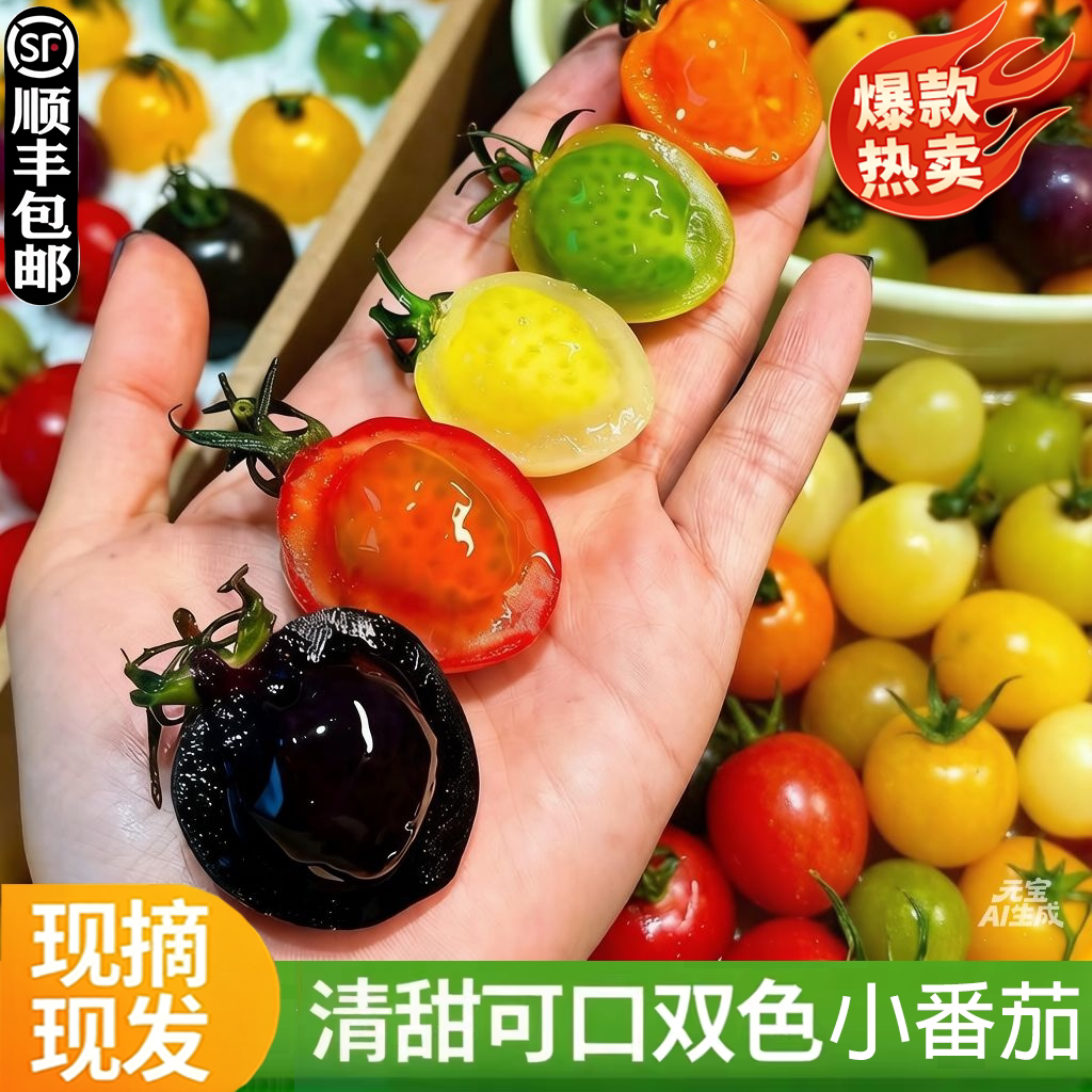 山东七彩小番茄新鲜现摘现发彩色小柿子清甜多汁圣女果混合装水果