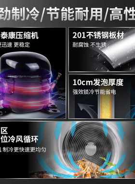 商用速冻机小型低温急速冻冷柜海参饺子急冻柜包子零下45度速冻柜