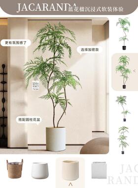 采购产品客厅装饰，无障碍豪华，高端模拟绿色植物，蓝莓室内大型