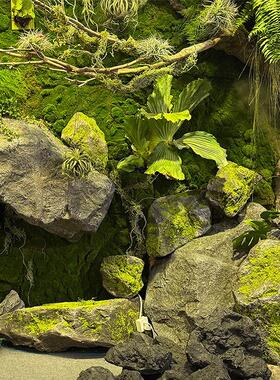 模拟苔藓泡沫石造景室内假石道具壁挂式绿色植物假山苔藓窗饰