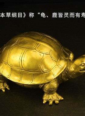 铜乌龟摆件黄铜千年龟百寿v龟龙龟长辈生日贺寿礼品铜龟工艺品摆