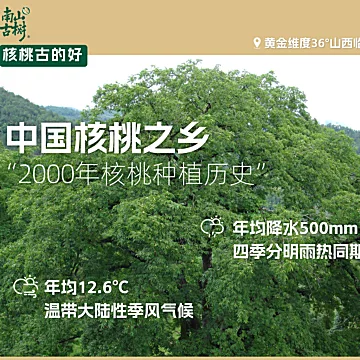 【3袋】去皮泡椒烧烤小龙虾辣条味核桃仁[10元优惠券]-寻折猪