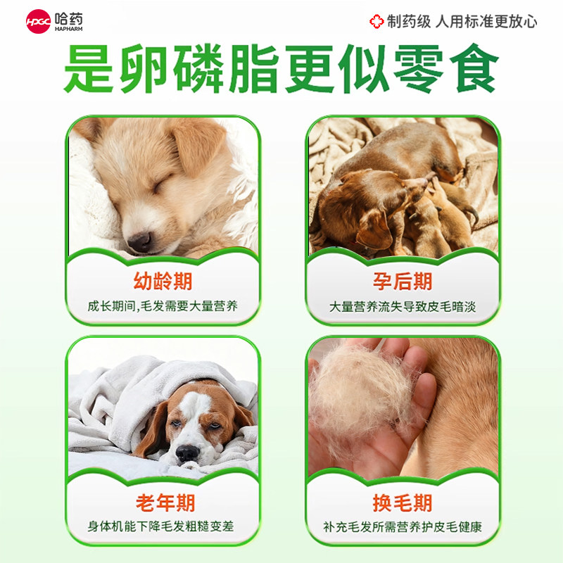 哈药宠物蛋黄卵磷脂狗狗专用防掉复合维生素鱼油美毛爆毛固毛护毛,淘宝优惠券,粉丝福利购,淘宝优惠卷