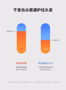 lowrarouge罗拉吹风机家用负离子护发速干小功率宿舍用学生吹风机
