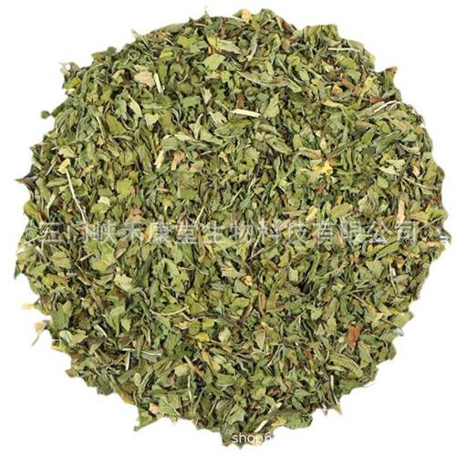 包邮留兰香薄荷茶碎散装 spearmint tea bag皱叶留兰香现货 - 图3