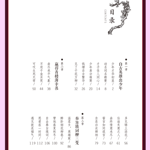 【5本20元全店任选】今宵酒醒何处（柳永词传） 古典中国古诗词鉴赏大全 经典诗歌欣赏 - 图1