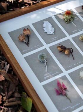 野地花园植物标本装饰画网红格子挂画家居软装实木干花相框样板间
