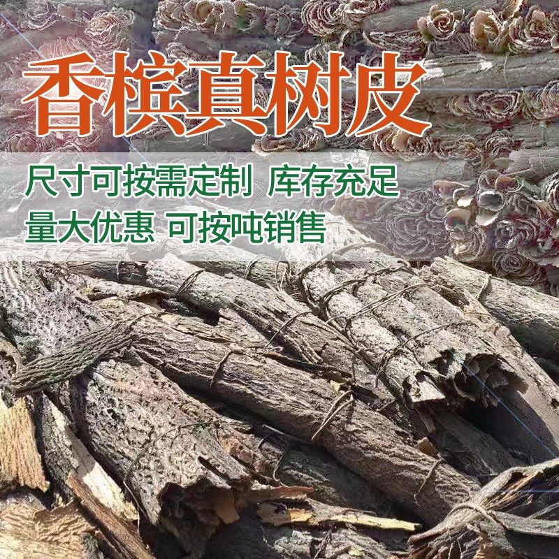 真树皮软木树皮香槟树皮爬宠鱼缸造景绿植装饰水族装饰贴墙背景板,淘宝优惠券,粉丝福利购,淘宝优惠卷