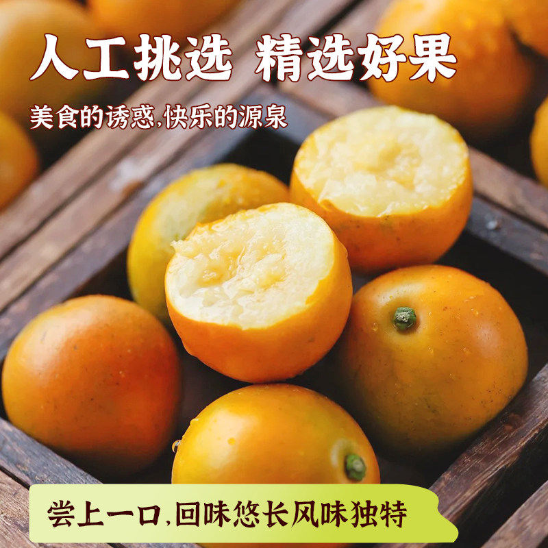 【所有女生直播间】融安脆蜜金柑第三代脆蜜金桔橘子新鲜水果脆甜,淘宝优惠券,粉丝福利购,淘宝优惠卷