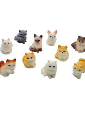 仿真动物模型小号可爱猫咪公仔橘猫波斯德文布偶猫微景观桌面摆件