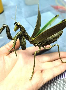 非遗中国棕编螳螂草编小昆虫纯手工制作