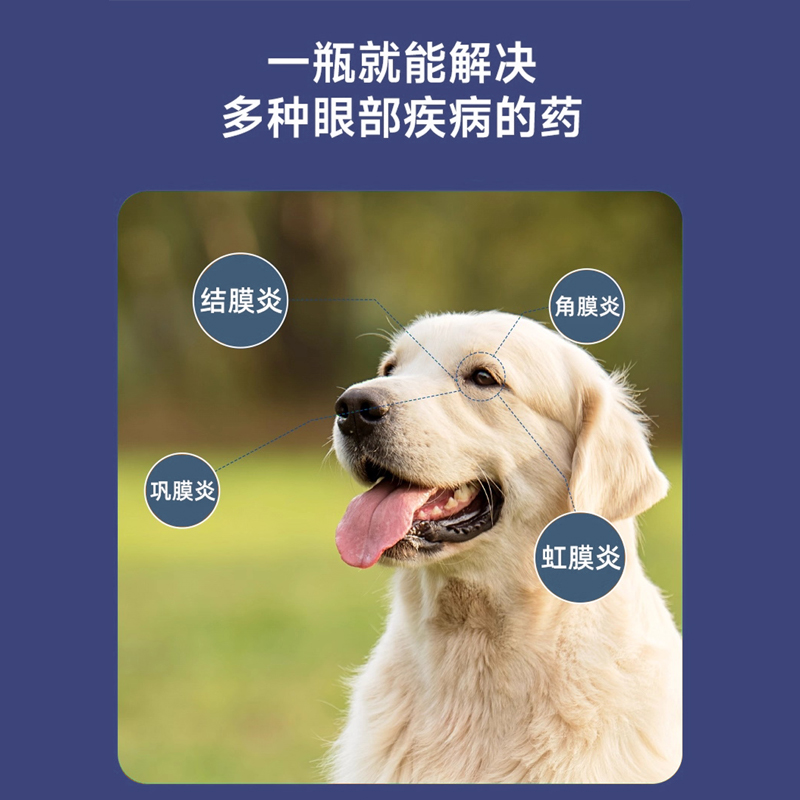金宇生物醋酸氢化可的松滴眼液宠物猫狗通用3ml/瓶 - 图0
