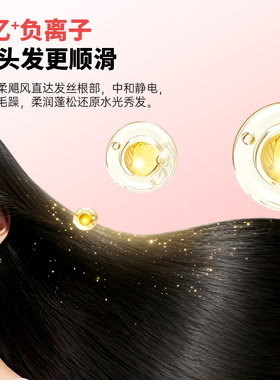 晨晏800W负离子速干静音电吹风