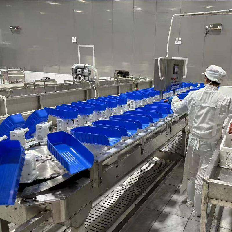 转盘料盒式鸡爪重量分选机牡蛎海鲜配重分选水果自动称重分级机,淘宝优惠券,粉丝福利购,淘宝优惠卷