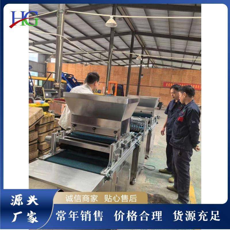 全自动穴盘育苗机蔬菜水果育苗设备变频调速蔬菜种子播种机,淘宝优惠券,粉丝福利购,淘宝优惠卷