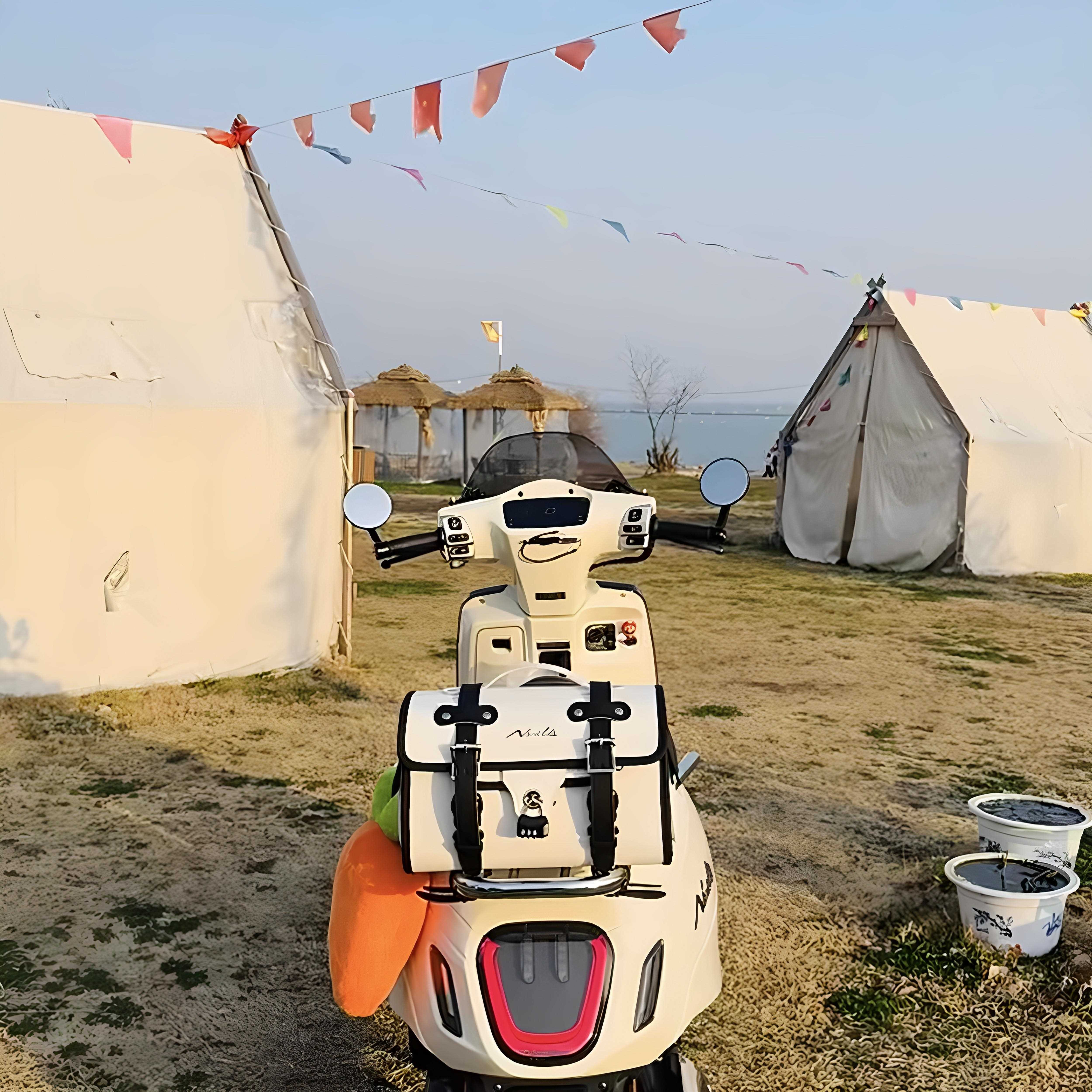 摩托车尾箱包复古后座包电动车皮尾箱本田25款NS125LA后尾包通用 - 图2