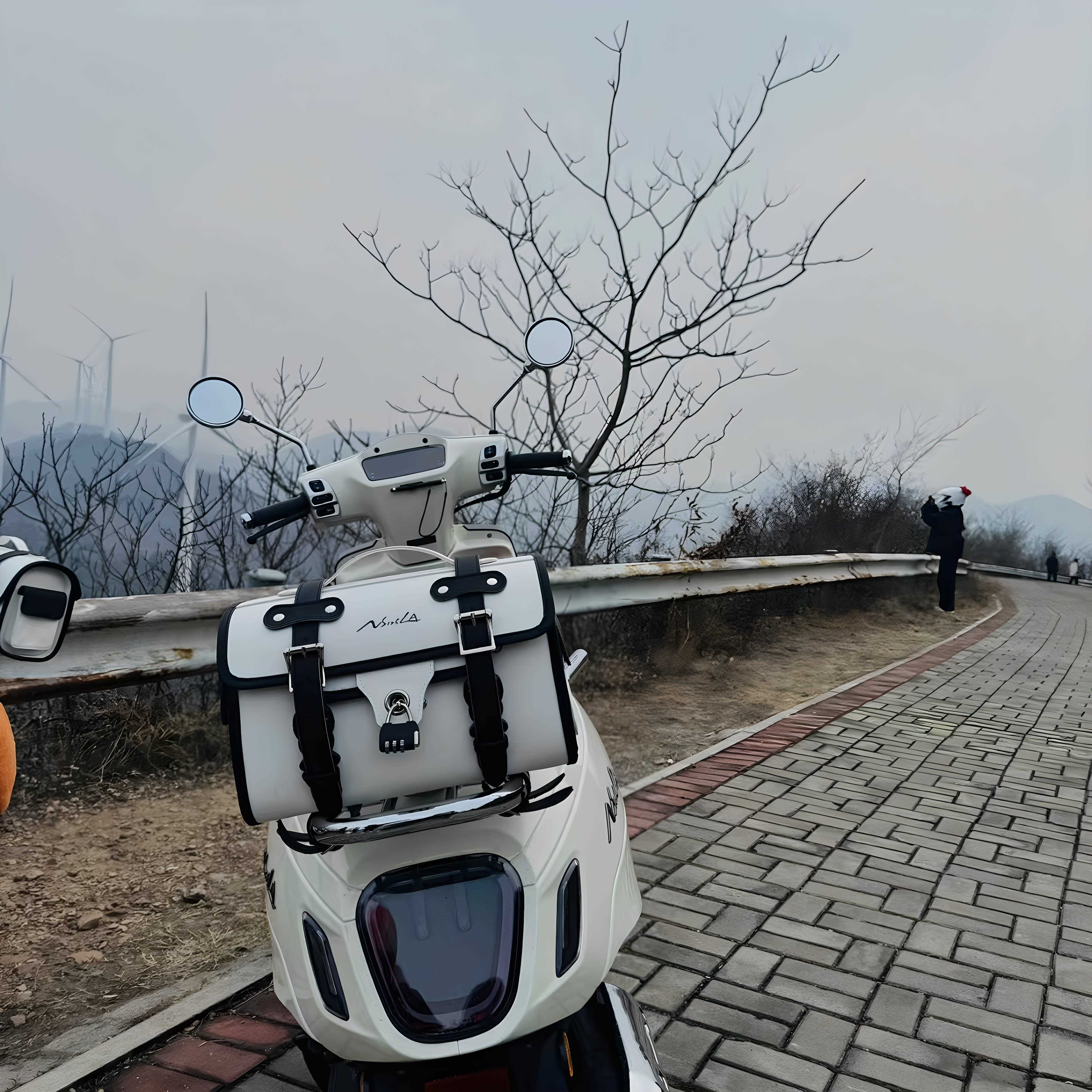 摩托车尾箱包复古后座包电动车皮尾箱本田25款NS125LA后尾包通用 - 图1