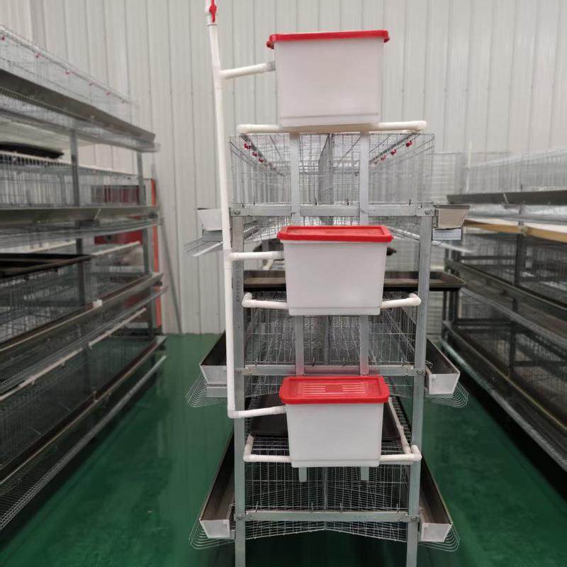 供应立式粪盘蛋鸡笼热镀锌材质三层四层自动清粪养鸡笼肉鸡笼厂家,淘宝优惠券,粉丝福利购,淘宝优惠卷