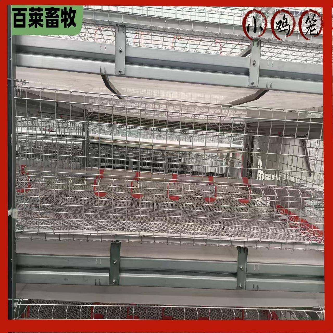 镀锌丝小鸡笼，加密加粗，防锈耐用，为小鸡提供安全防护配件全,淘宝优惠券,粉丝福利购,淘宝优惠卷