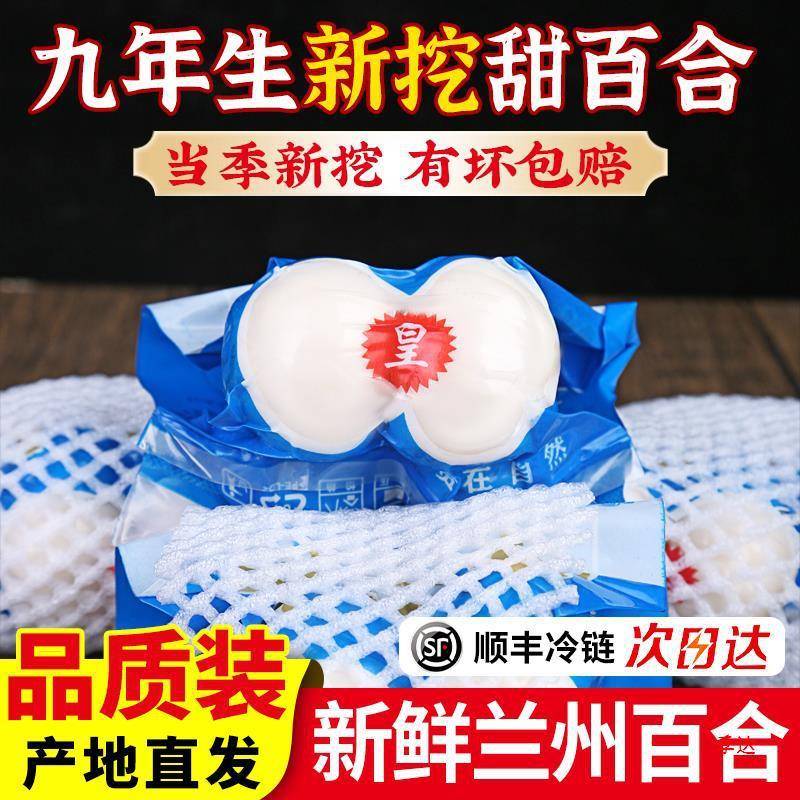 兰州百合新鲜百合500食用甜百合生白合非百合干货甘肃产级包邮 - 图0