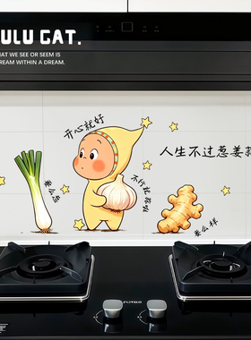 厨房防油静电防水可擦洗装饰墙贴